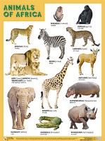 Плакаты (англ). ANIMALS OF AFRICA (Животные Африки)
