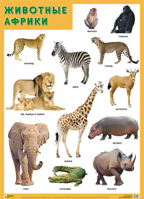 ПЛ Животные Африки